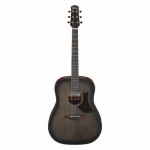 กีต้าร์โปร่ง Ibanez AAD50-TCB