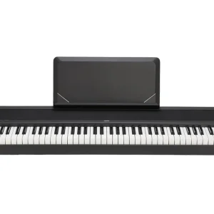Korg B2N