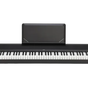 KORG B2N