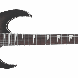 กีตาร์ไฟฟ้า Ibanez GRG121PAR