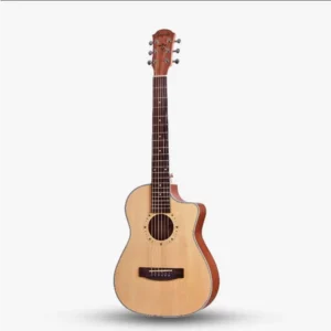 Tayste TS10 - 34C กีตาร์โปร่ง 34 นิ้ว