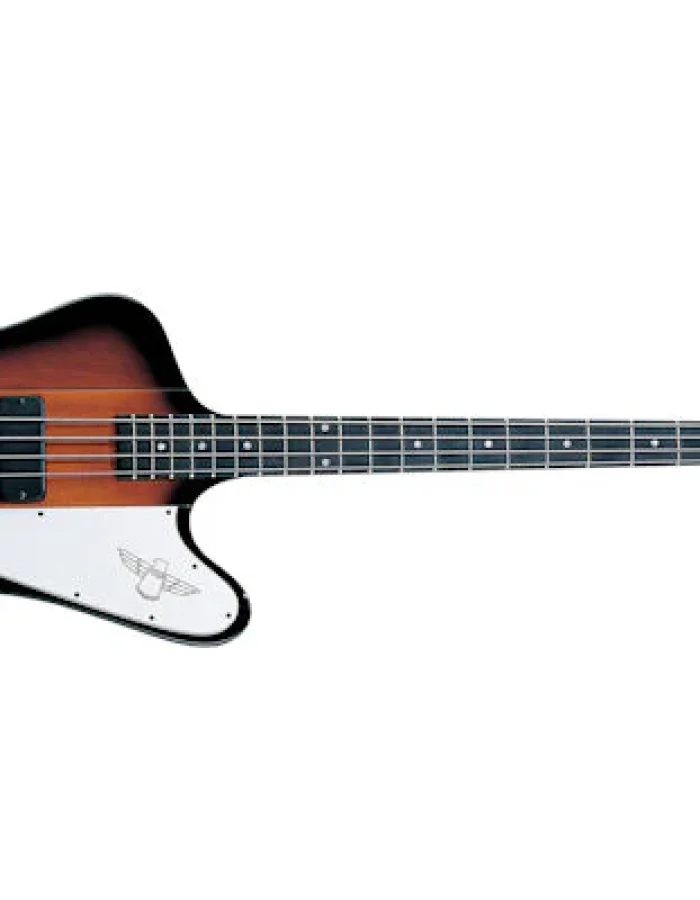 Epiphone Thunderbird E1