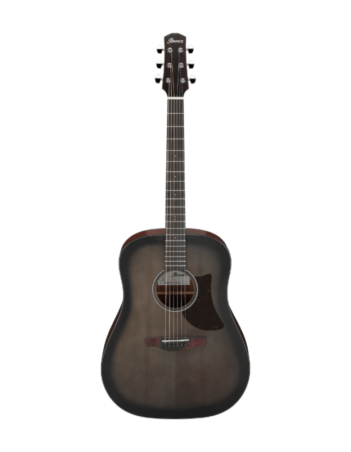 กีต้าร์โปร่ง Ibanez AAD50-TCB