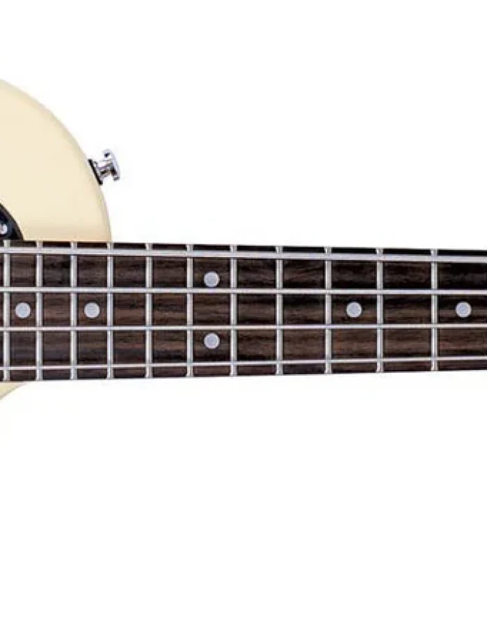 Blackstar Carry-on ST Bass