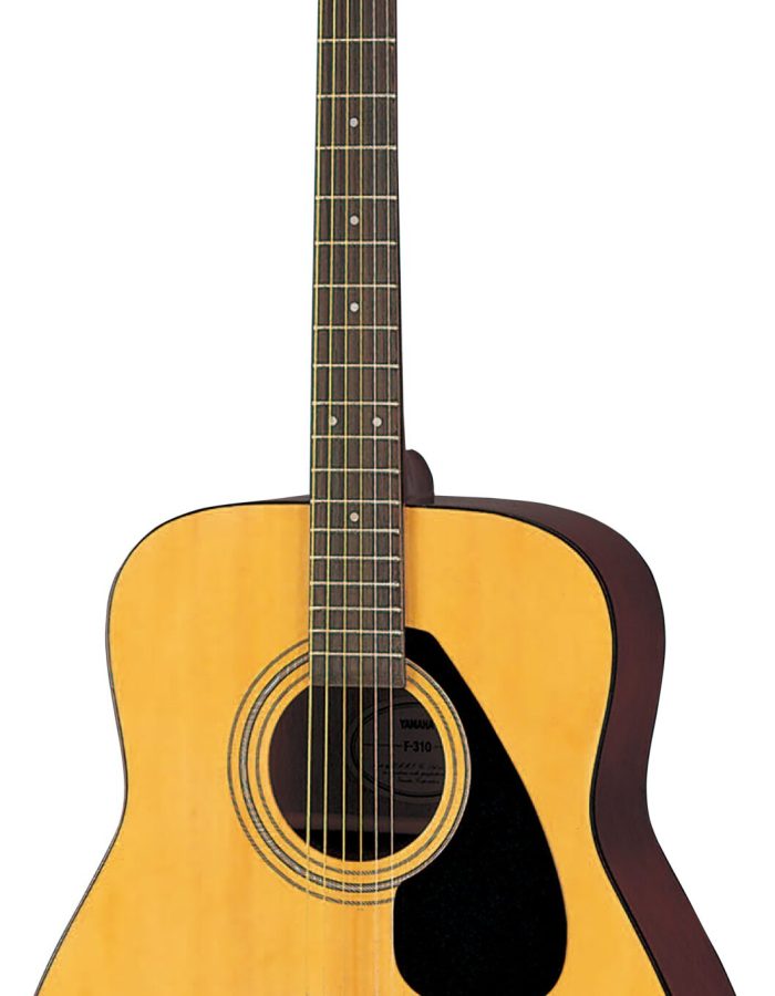 Yamaha FS100C