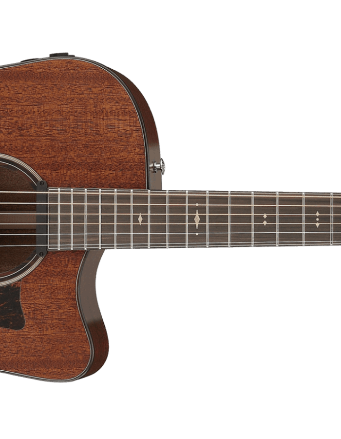 Ibanez  AAD440CE