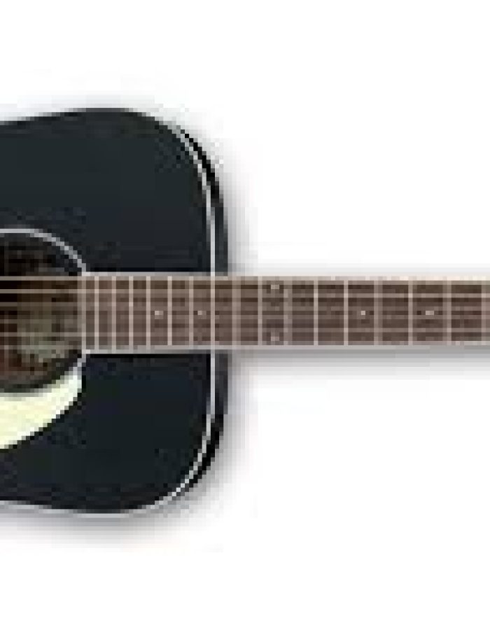 Ibanez PF15ECE กีตาร์โปร่ง/โปร่งไฟฟ้า Acoustic Guitar